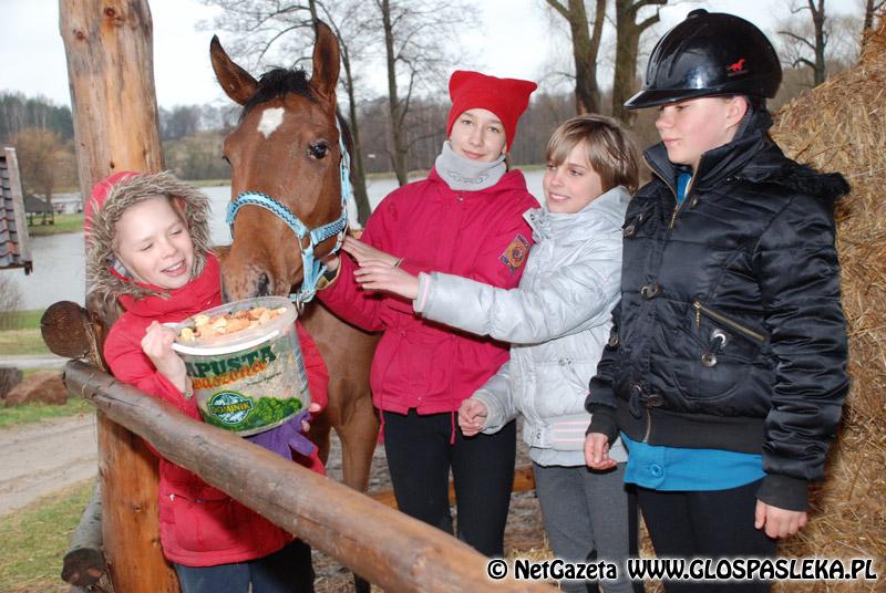 Zwierzęta i ludzie