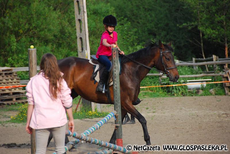 Zwierzęta i ludzie