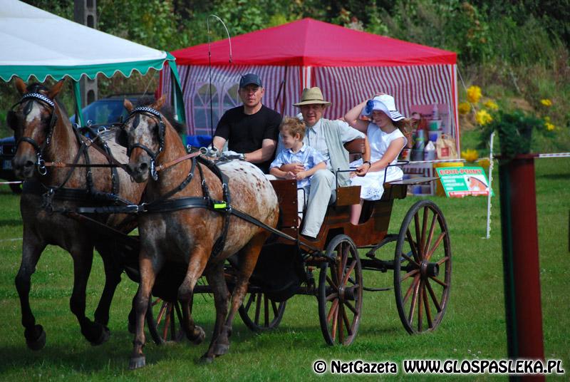 Zwierzęta i ludzie