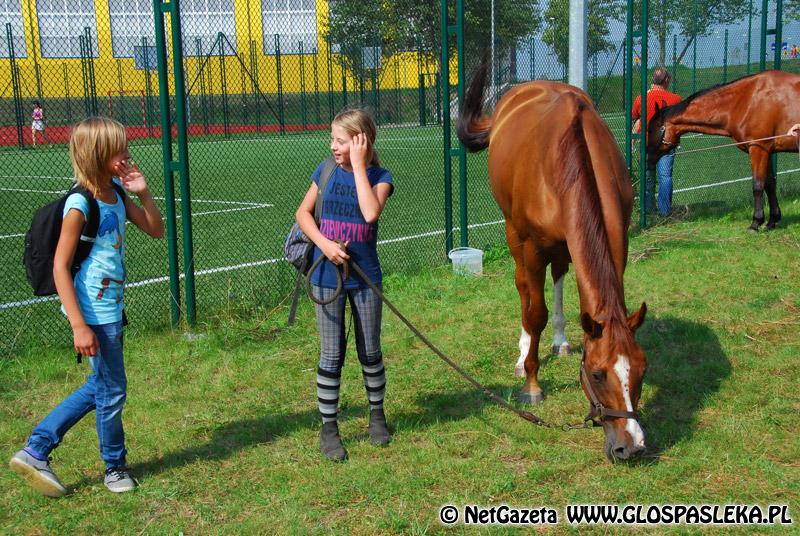 Zwierzęta i ludzie