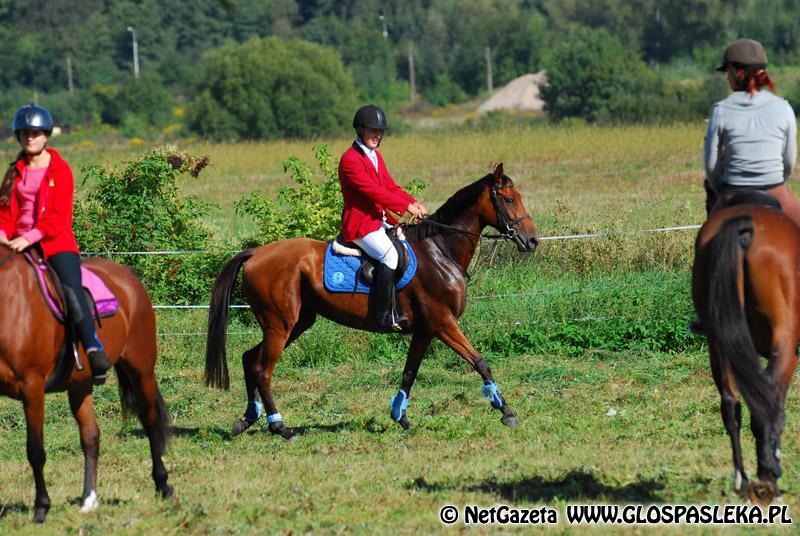 Zwierzęta i ludzie