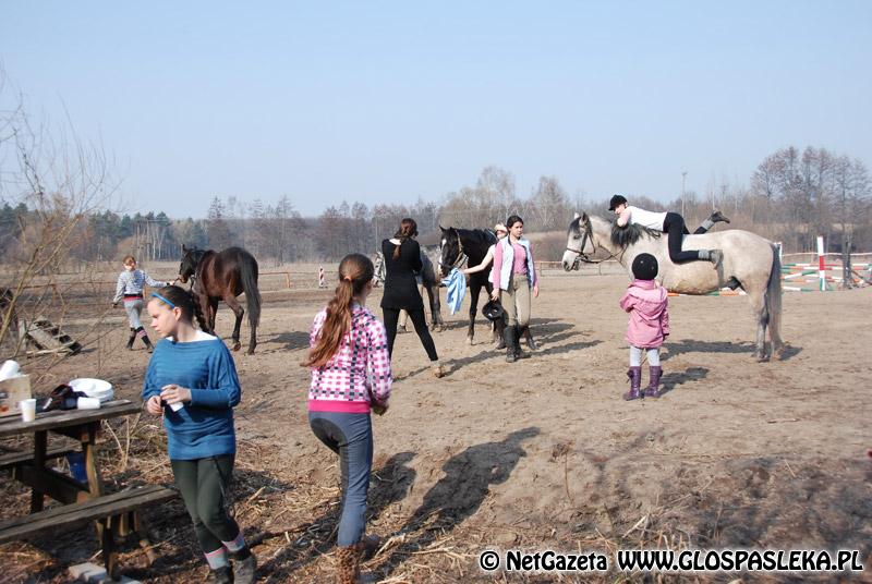 Zwierzęta i ludzie