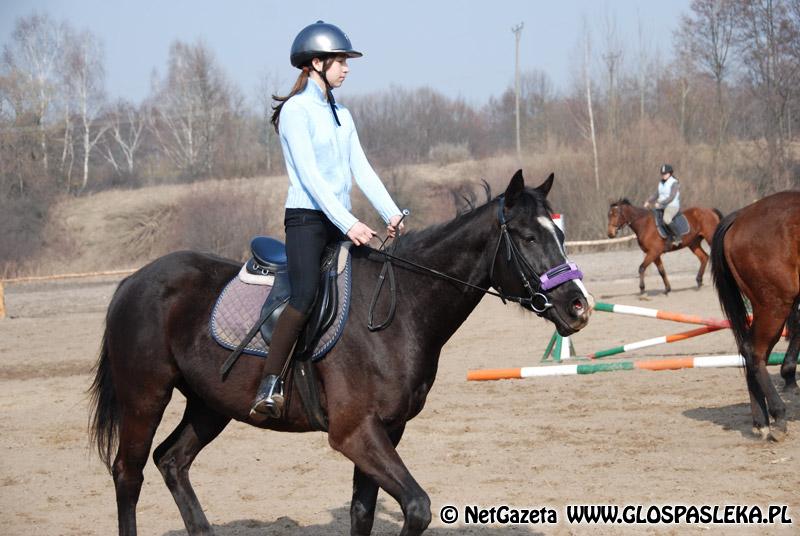 Zwierzęta i ludzie