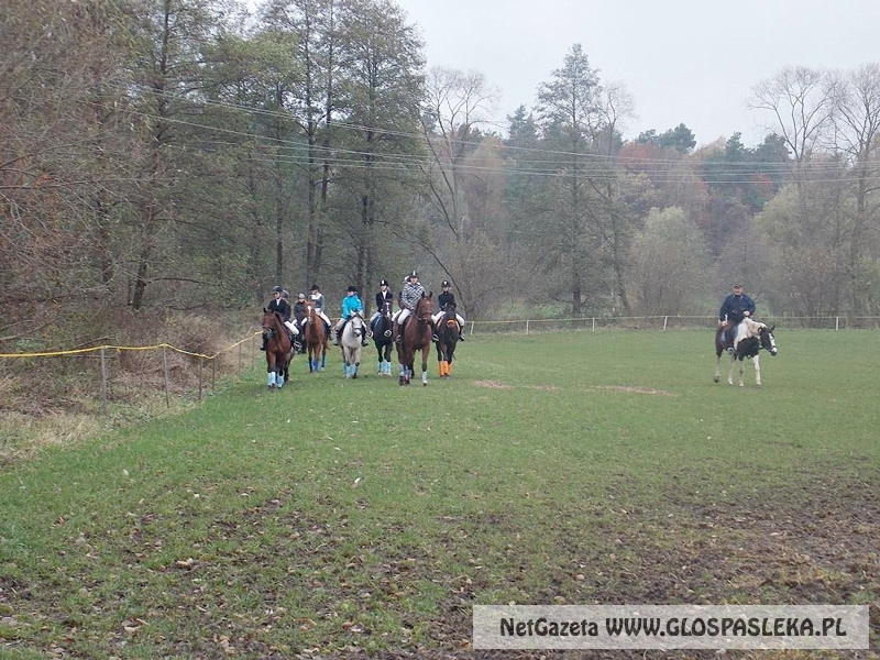 Zwierzęta i ludzie