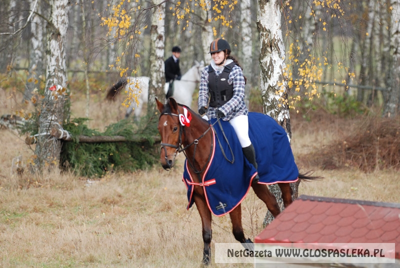 Zwierzęta i ludzie