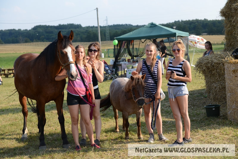 Zwierzęta i ludzie