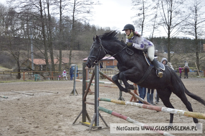 Zwierzęta i ludzie