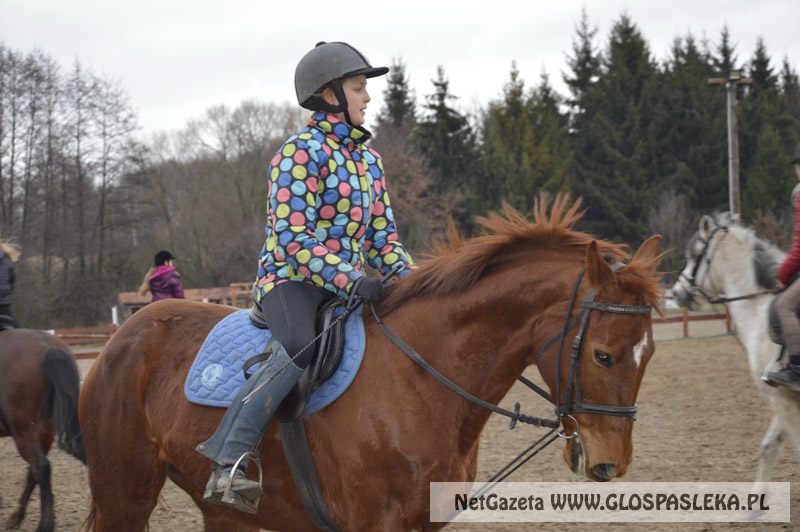 Zwierzęta i ludzie