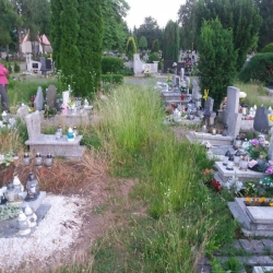 Interwencje – cmentarz