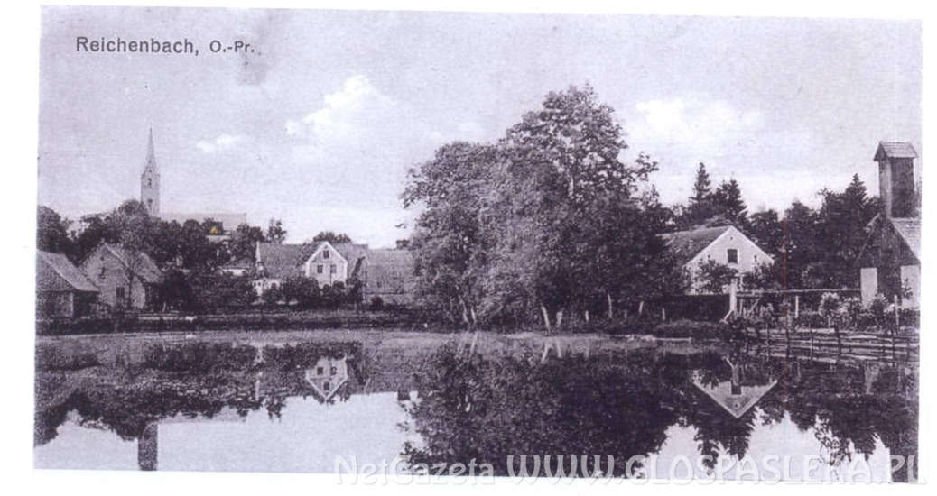 Duży Staw Wiejski w Rychlikach