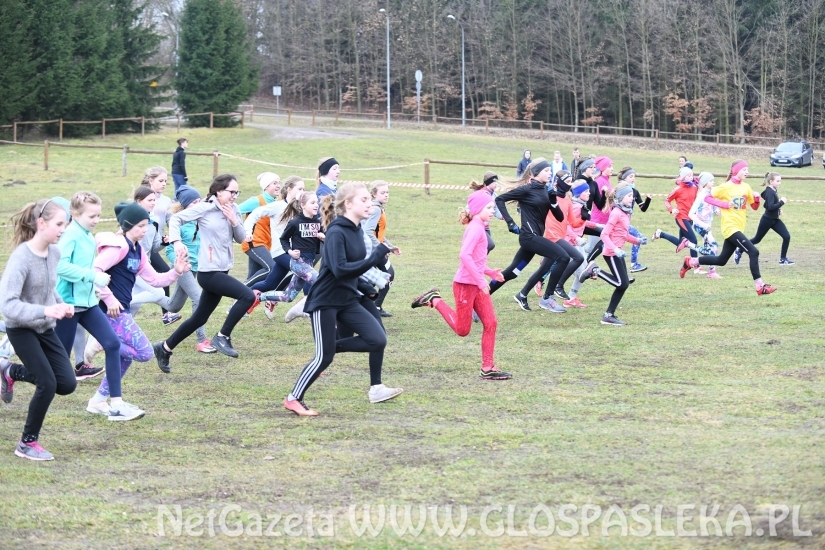 Gmina Pasłęk najlepsza w przełajach