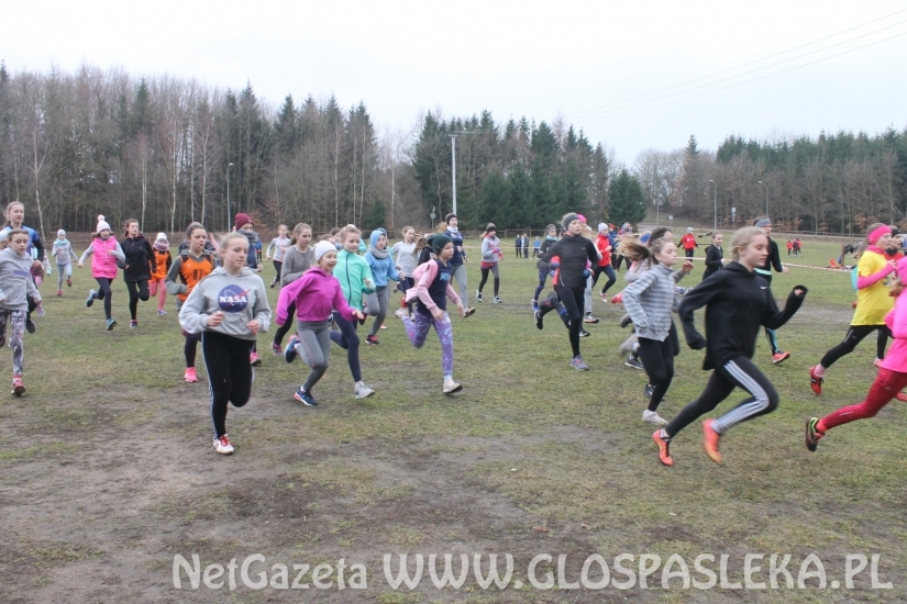 Gmina Pasłęk najlepsza w przełajach