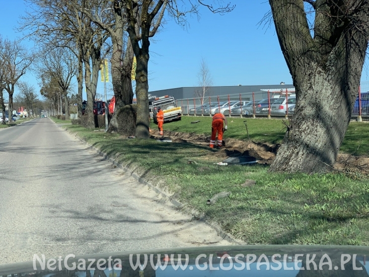 Remontują chodnik na ul. Boh. Westerplatte