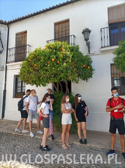 Półmetek wyjazdu uczniów ZSEiT do Hiszpanii