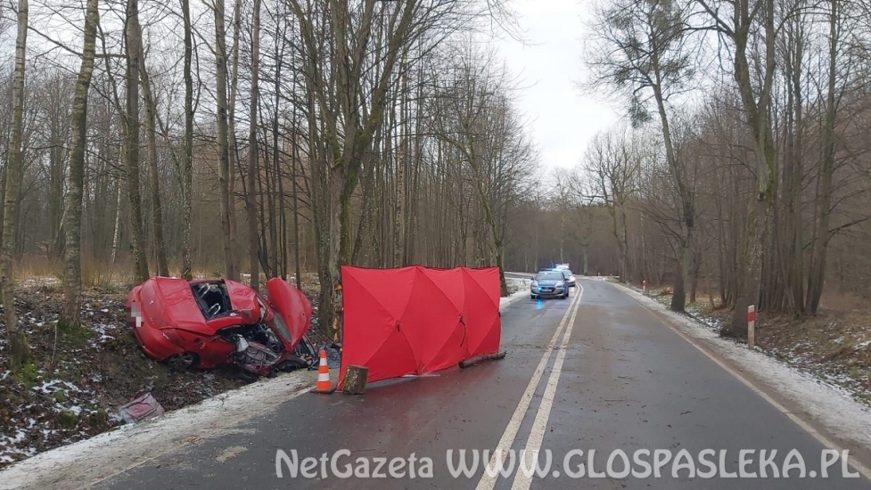 Śmiertelny wypadek